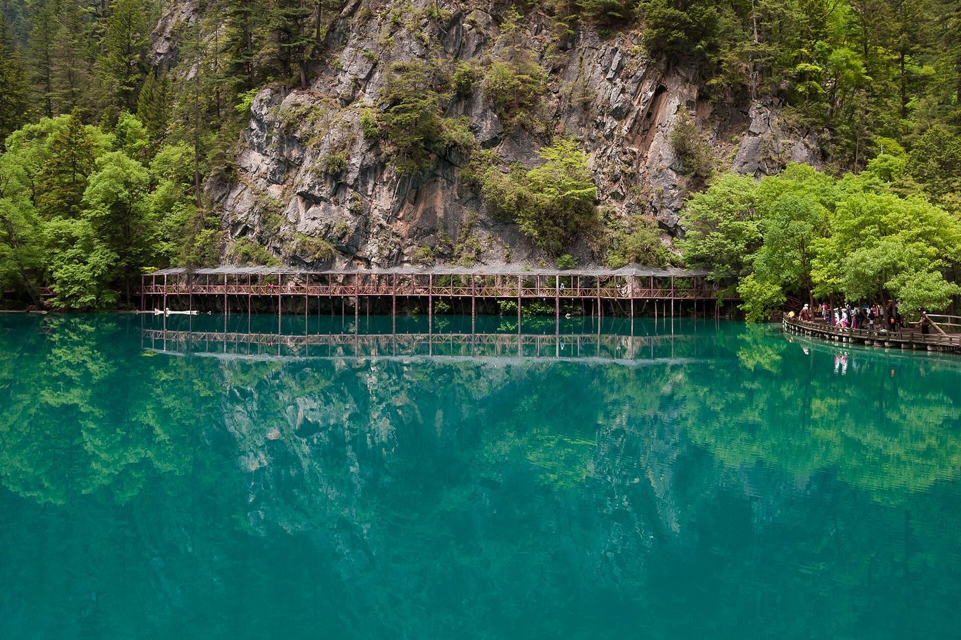 Panda Lake in Jiuzhaigou Valley, Sichuan